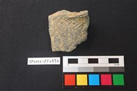 藏品(陶片)的圖片