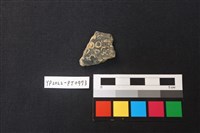 藏品(陶片)的圖片