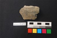 藏品(陶片)的圖片