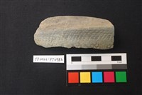 藏品(陶片)的圖片