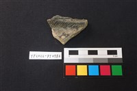 藏品(陶片)的圖片