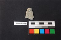 藏品(陶片)的圖片