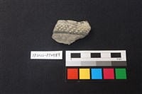 藏品(陶片)的圖片