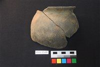 藏品(陶片)的圖片