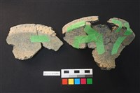 藏品(陶片)的圖片