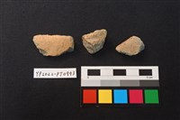 藏品(陶片)的圖片