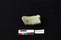 藏品(玉環)的圖片