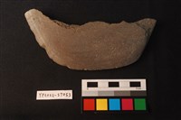 藏品(磨製石斧)的圖片