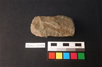 藏品(打製石斧)的圖片