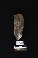 藏品(石錛)的圖片