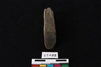 藏品(玉錛)的圖片