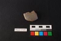 藏品(磨製石斧殘件)的圖片