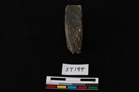 藏品(玉錛)的圖片