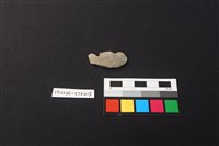 藏品(磨製石器殘件)的圖片