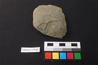 藏品(石斧)的圖片