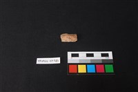 藏品(不明石器)的圖片