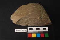 藏品(不明石器)的圖片