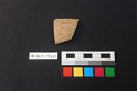 藏品(陶片)的圖片