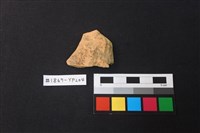 藏品(陶片)的圖片