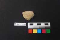 藏品(陶片)的圖片