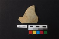 藏品(陶片)的圖片