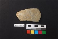 藏品(陶片)的圖片