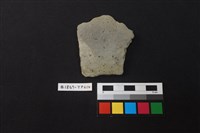 藏品(陶片)的圖片