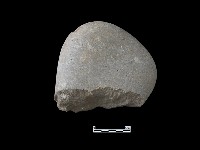 藏品(石核)的圖片