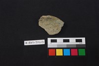 藏品(陶片)的圖片