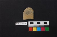 藏品(陶片)的圖片