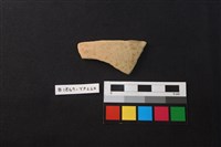 藏品(陶片)的圖片