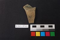 藏品(陶片)的圖片