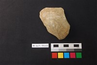 藏品(陶片)的圖片