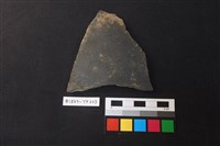 藏品(陶片)的圖片