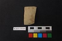 藏品(陶片)的圖片