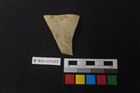 藏品(陶片)的圖片