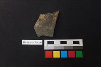 藏品(陶片)的圖片