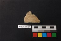 藏品(陶片)的圖片