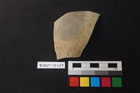 藏品(陶片)的圖片