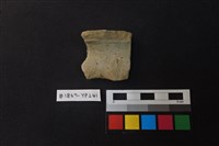 藏品(陶片)的圖片