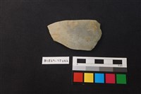 藏品(陶片)的圖片