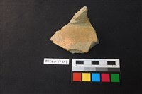 藏品(陶片)的圖片