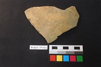 藏品(陶片)的圖片