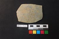 藏品(陶片)的圖片