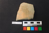 藏品(陶片)的圖片