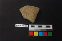 藏品(陶片)的圖片