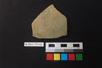 藏品(陶片)的圖片