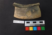 藏品(陶片)的圖片