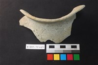 藏品(陶片)的圖片