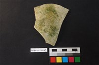 藏品(陶片)的圖片